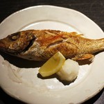 魚菜家 - のど黒・塩焼き＝日本海の人気者