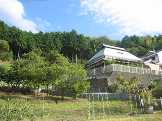 Inaka Chaya Chie - 店の全貌