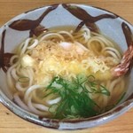 Yashima Udon Kyobashi Ten - 天ぷらうどんに玉子トッピング。あっさりおつゆが、美味しい