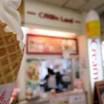 Cream Land Kinryu Sa-Bisu Eria Ten - ソフトクリーム（330円）