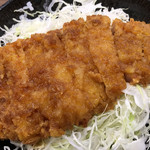 Shinnan Restaurant Gakurakusai - 幻豚ソースカツ丼2000円