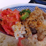 Yoshinoya Hyakugojugogo Sen Shinmaiko Ten - 