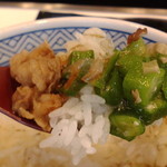 Yoshinoya Hyakugojugogo Sen Shinmaiko Ten - 