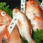 Seafood Sakaba Hatahata Fukushima Honten - 