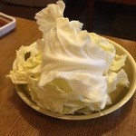 茂利屋 - ☆定番のキャベツ!(^^)!☆