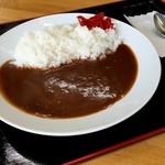 Fujiya - 2015年11月12日　カレー600円