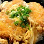 Ganko An Kanoya Ten - ひれかつ丼