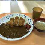 Shokudo Apricot - ポークカツカレー410円