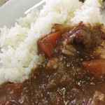 にじます工房 - エゾシカカレー 500円