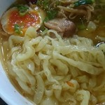 Japan Shoku Restaurant Matsuri - 麺アップ(日光軒佐野ラーメン)