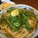 Marugame Seimen Iontaun Kariya Ten - 冷やかけ 大