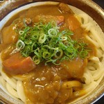 はなまるうどん - カレーうどん