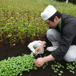 製造元直売所 手打ち十割そば処 丹沢そば - 