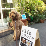 studio coote cafe - 