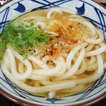 Marugame Seimen Katepuri Shin Sapporo Ten - かけうどん(並) 290円