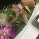 Katsugyo Sushi Shomi - 