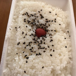 Tomato Hokahoka Bento - 