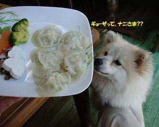 伊豆高原 餃子こうげん倶楽部 - 水餃子です♪