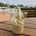 Yamada Service Area (Kudari Sen) Snack Corner - バニラ 300円