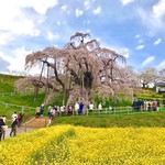 福内屋菓子店 - 福島県 三春滝桜