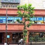 NEWZEALAND CAFE AKASAKA - 外観