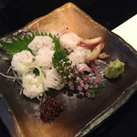 Kyoto Dining Sugi - 