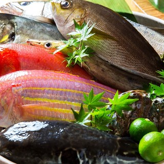 『漁港直送の新鮮美味な魚介類』高知県宿毛や岩手県大船渡より