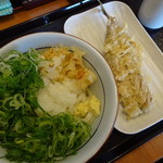 Seimen Daigaku Chiryu Ten - おろし醤油うどん･並(350円)と秋刀魚天(150円)