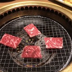 Kokusan Gyuu Yakiniku All you can eat Nikushou Sakai Musashino Sakurazutsumi Ten - 