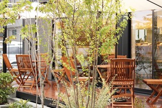 Cafe terrace kikinomori - 