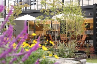 Cafe terrace kikinomori - 