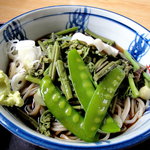 Gofuku Soba - 冷やし山菜そばです、美味しかったですよ