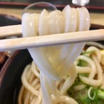 Hirohama Udon - 