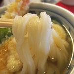 本格手打うどん おか泉 - 麺のアップ