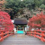 Murooji Oshokujidokoro Nakamuraya - 室生寺に向かう赤い太鼓橋