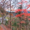 道の駅 尾瀬街道みしま宿