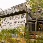 ANTIQUA TREE CAFE - お店