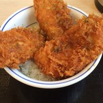 Katsuya Miyazaki Ichinomiya Ten - 新潟タレカツ丼529円