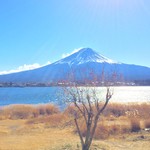 Ajidokoro Manpuku - 本日の富士山