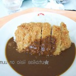 Hyakuzawa Ski Jo Restaurant Irodori - カツカレー