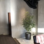 Cafe&Dining MONO - 観葉植物