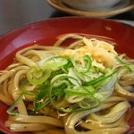 花はす温泉そまやま - ハスうどん