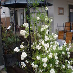 Higashiura Mamezou Cafe - 