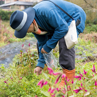 中東氏自らが、毎朝欠かさずに野山を駆け巡り収穫する山菜や木花