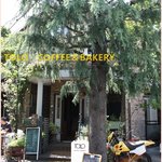 TOLO COFFEE＆BAKERY - 