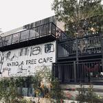 ANTIQUA TREE CAFE - 