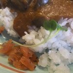 国立カレー処 いんでぃ庵 - スペシャルカレーに福神漬、らっきょのみじんぎり