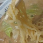 Shoryu Bo Nakamurahashi Ten - 麺はこんな感じでした