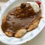 Gunma Kodomo no Kuni Rest House - カツカレー