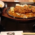 Kodawari Tonkatsu Katsu Jin SanYo Ten - 